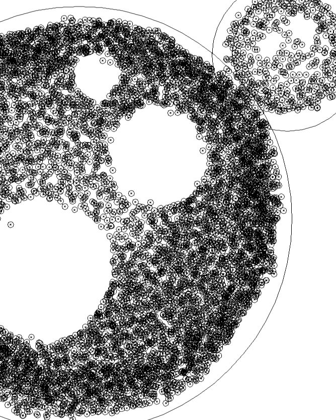 step 1: Screenshot of adobe illustrator path workflow (a lot of lines)